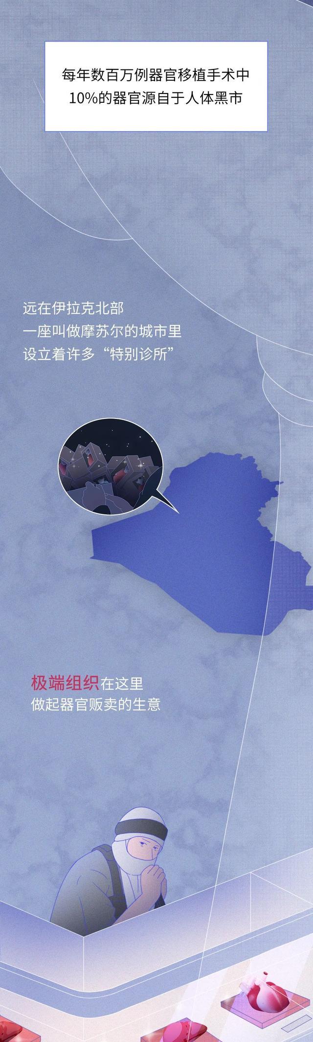 生命无价|死后,你的尸体值多少钱?一组漫画揭开真相!(生命无价)