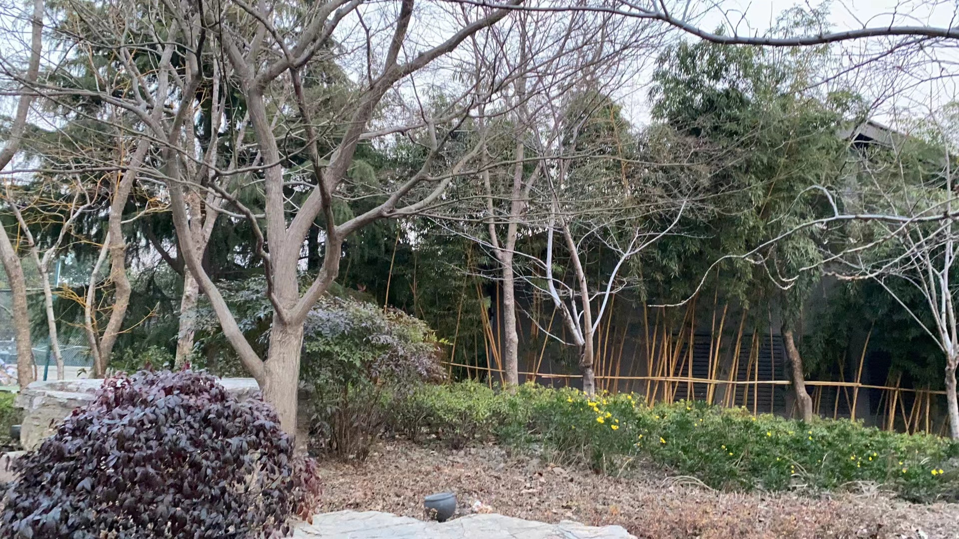 |同一个小区如何选楼栋?