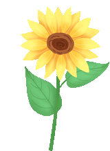 老房改造痛点总结,6大顽疾一次搞清楚