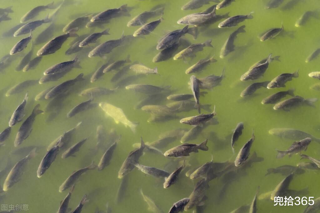 广东省|广东一男子火了，跑到地下车库去钓鱼，直接颠覆了常人的认知