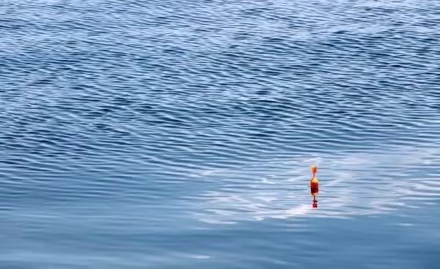 饵料|原来钓鱼调漂这么深奥