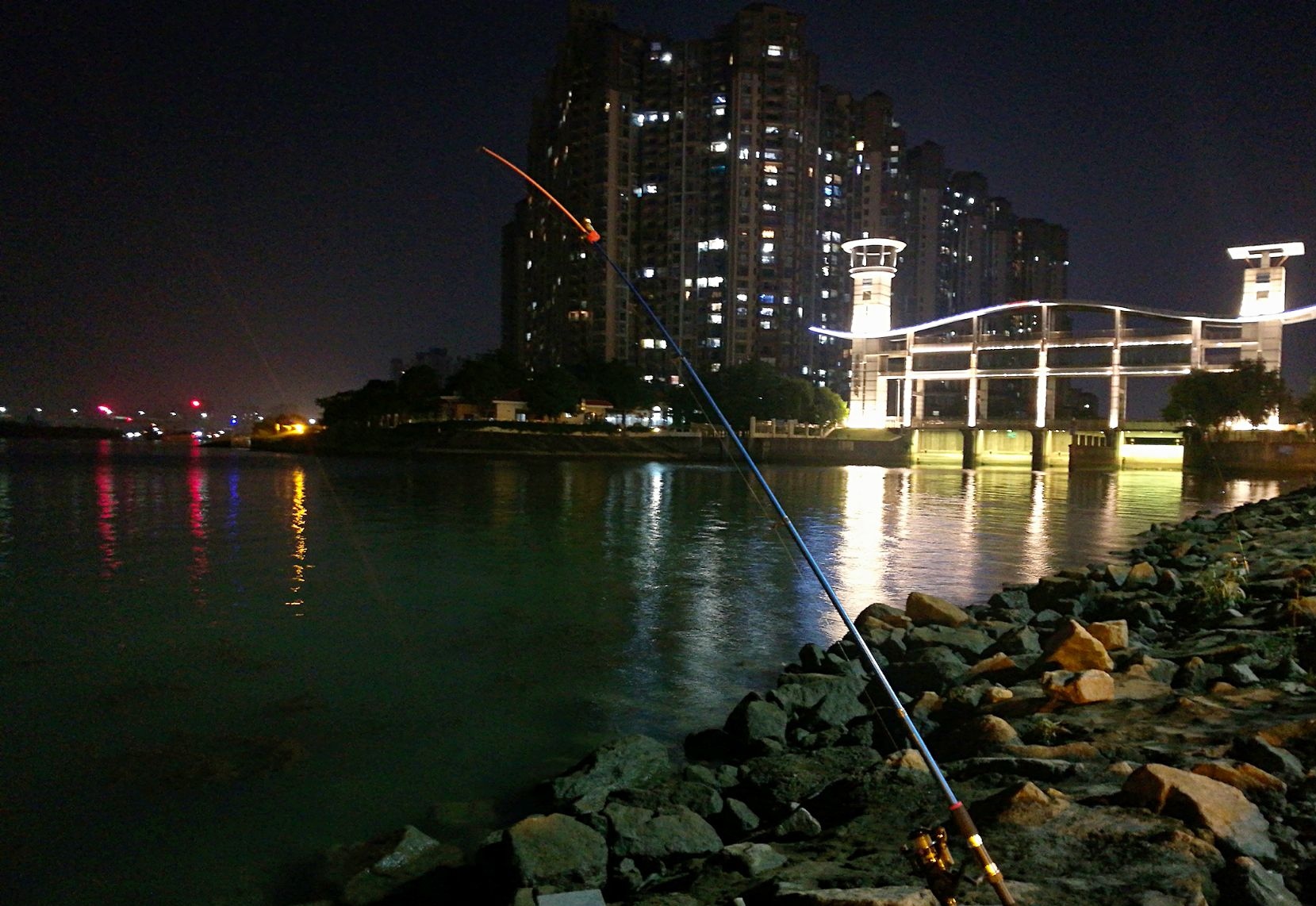 |夜钓遇到死鱼正口,别犹豫,里面收竿就走