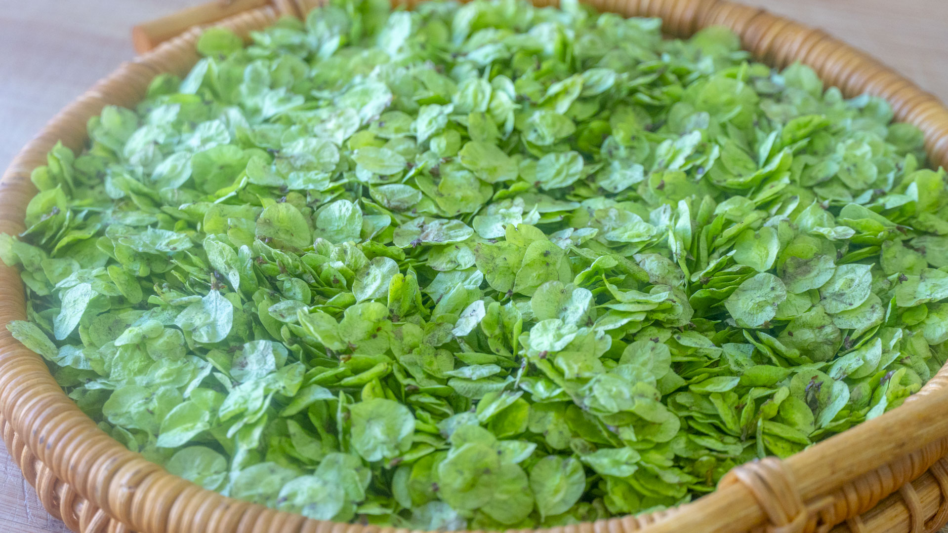 谷雨时节,记得吃“4白3黄2绿1红”,祛湿润燥,应季而食身体好