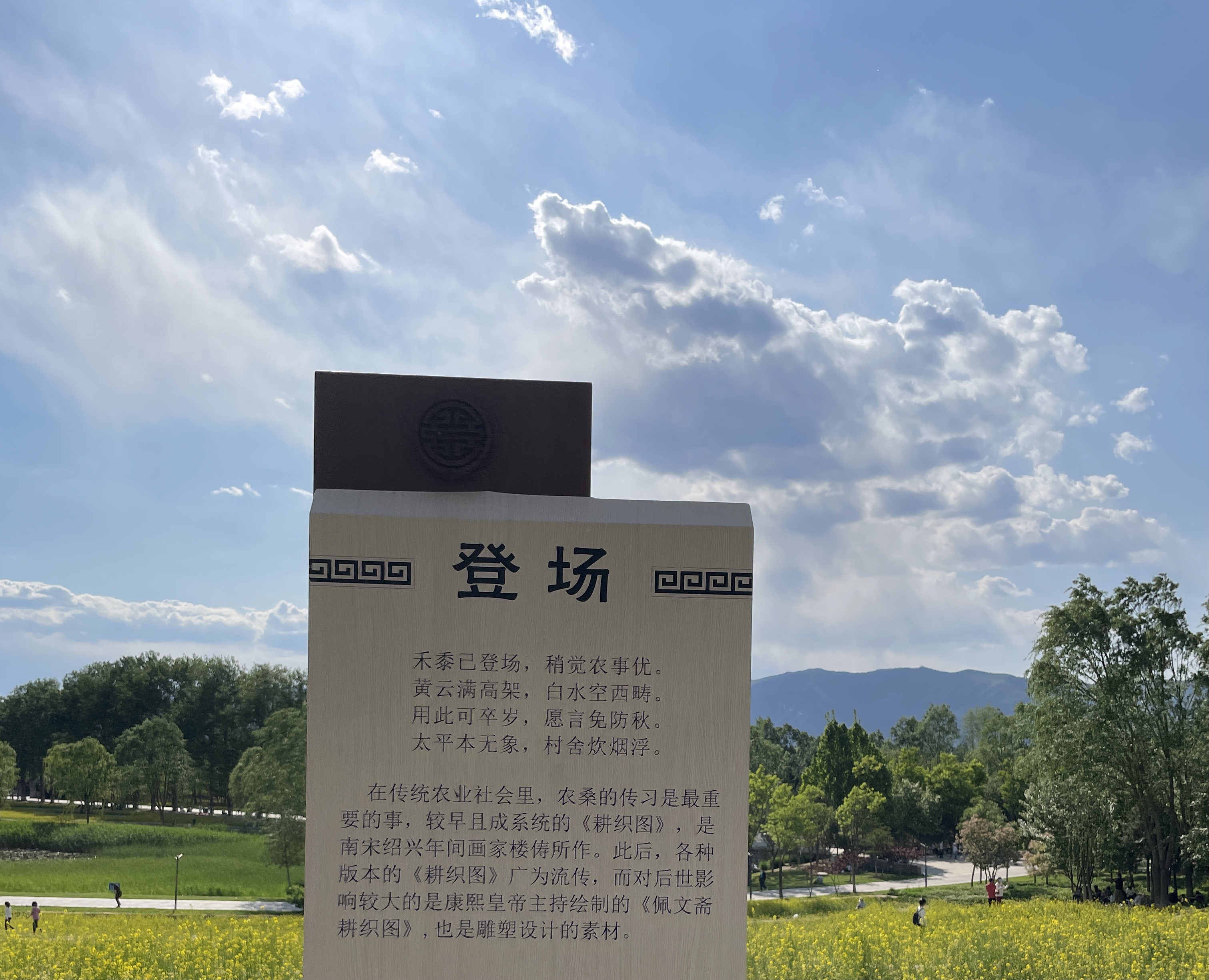 重庆|不早起看到的美景