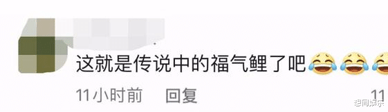 护肤 景区的鱼“猪里猪气”冲上热搜！ 网友慌了：原来游泳真不减肥…