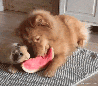 |“十年前后的手机变化有多大？”合着就变了个字母