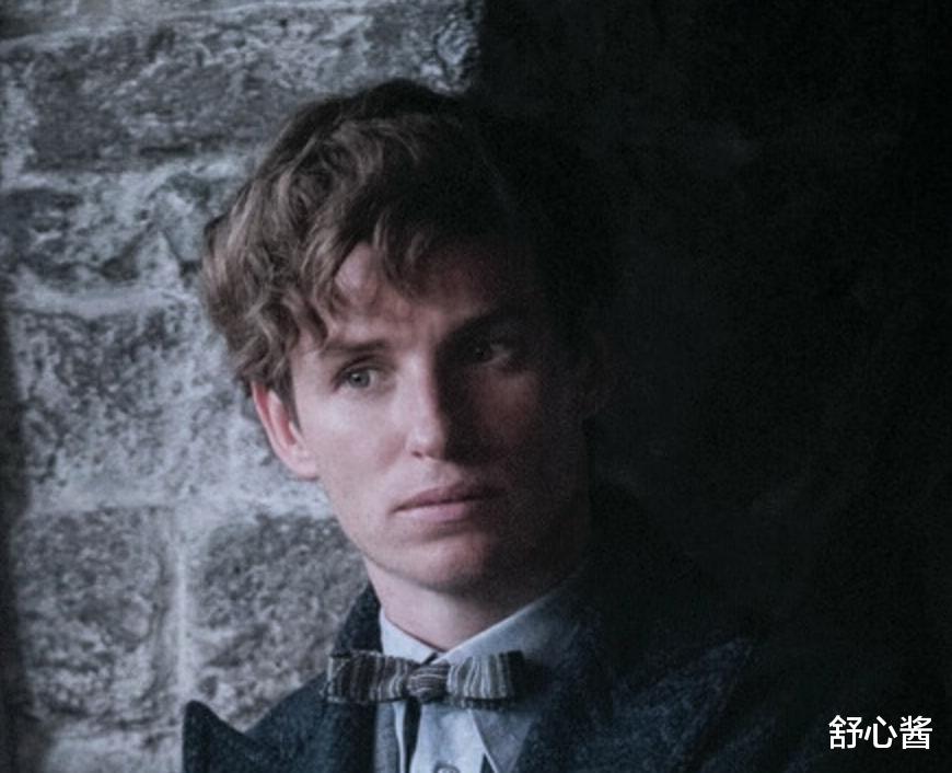 邓布利多|看完《神奇动物3》,观感很疲惫,哪里出了问题?