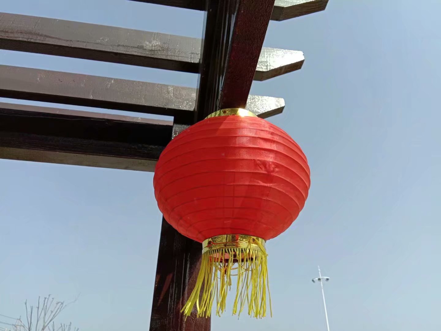 |我和富婆结婚以后的日子