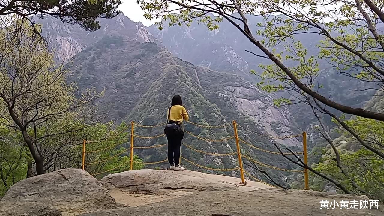 秦岭|春天爬过秦岭最美的山！1小时上山，野海棠、白鹃梅、棣棠赏不尽