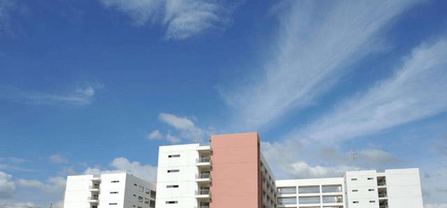 丹东|教育部发布通知,22所专科院校升级为本科,已考上的学生眼光独到