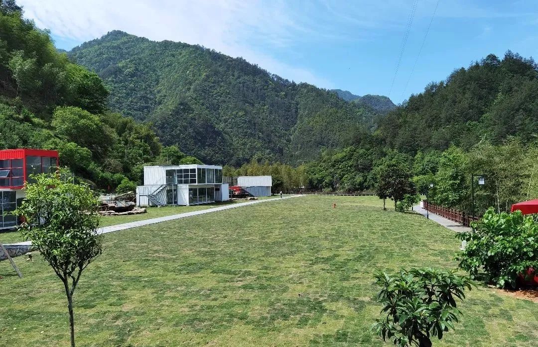 湖州|龙泉市住龙镇:红绿融合发展 以旅引客促收