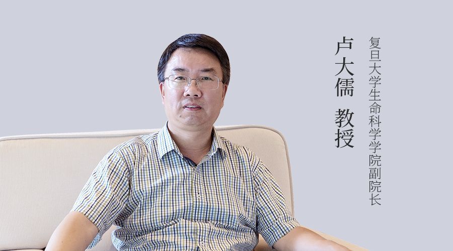 生女儿才能传宗接代?从科学遗传角度来看,母系遗传远高于父系