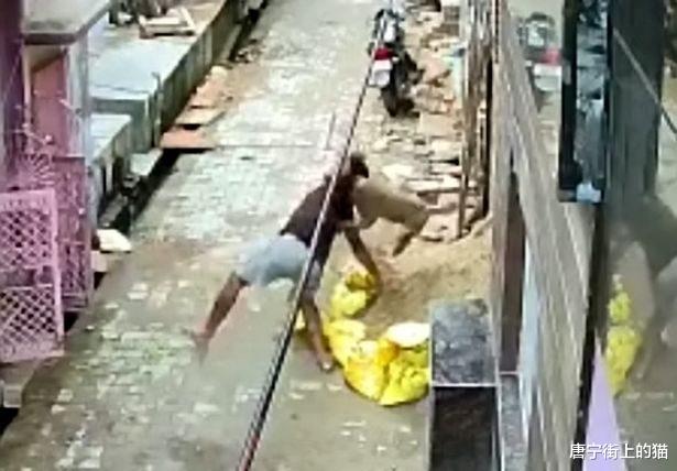 男子向猴子投掷石块，被猴子报复，人类如何与动物和平相处？