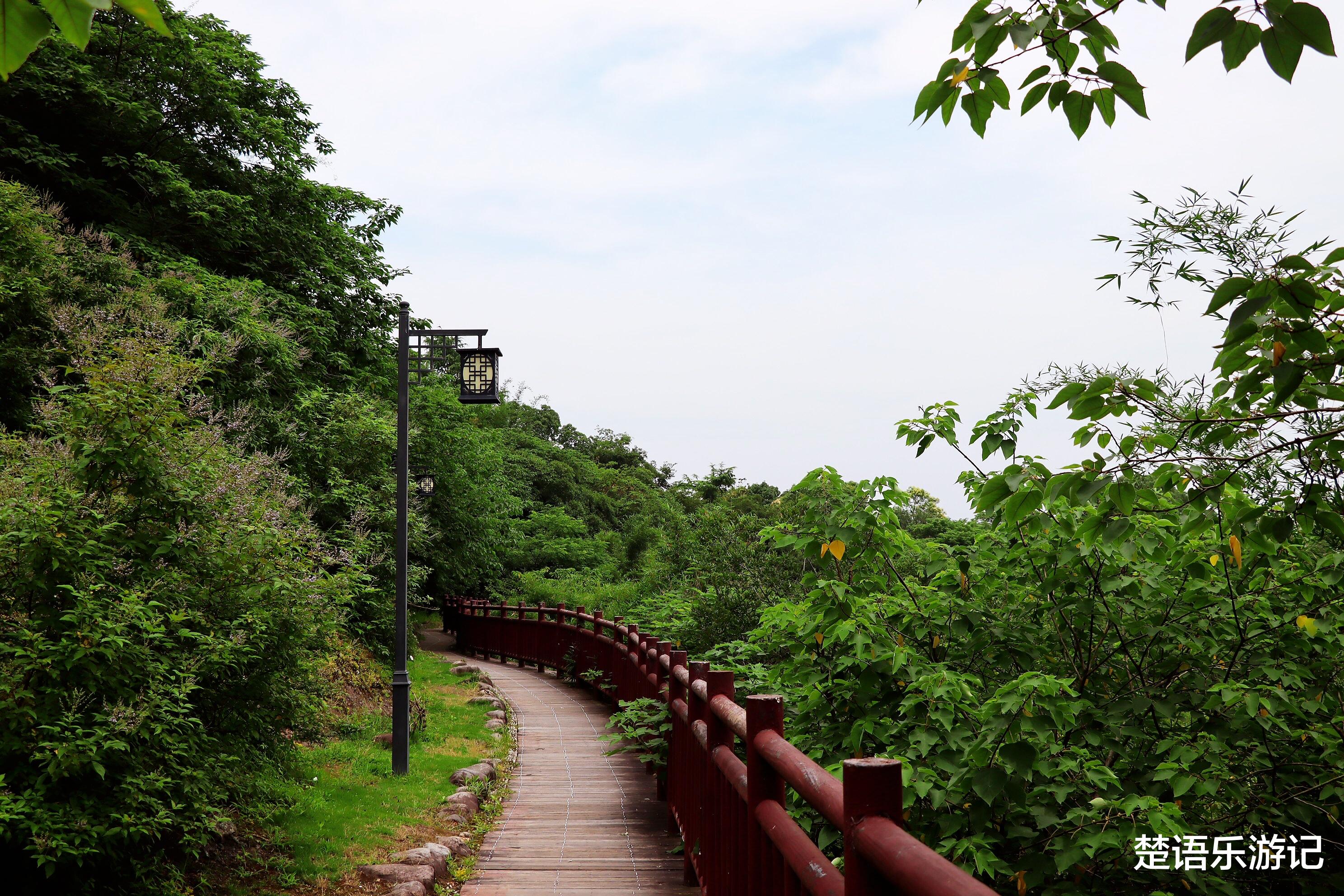 |花海和森林公园相映成趣，宁波这处风景成为网红打卡地，免费开放