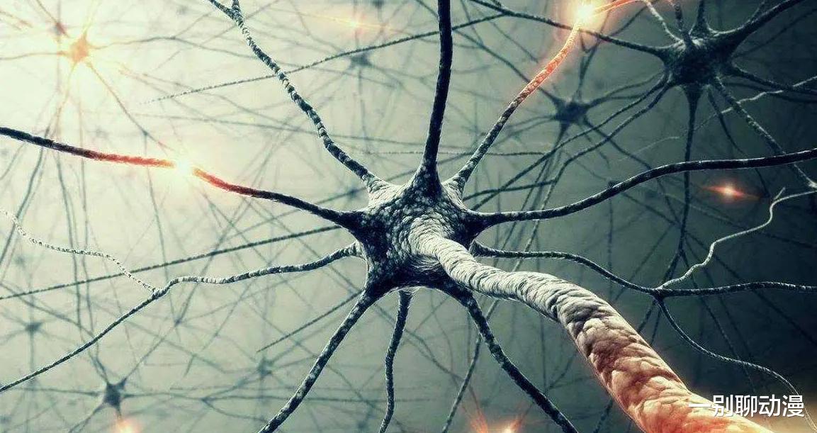 860亿个大脑神经元，让1.4公斤的大脑消耗人体20%能量，人脑越用越聪明？