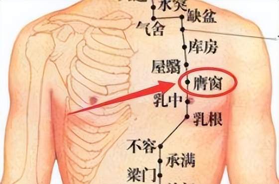 姐姐|经络穴位,一日一学——膺窗,这个胸部保健穴要了解