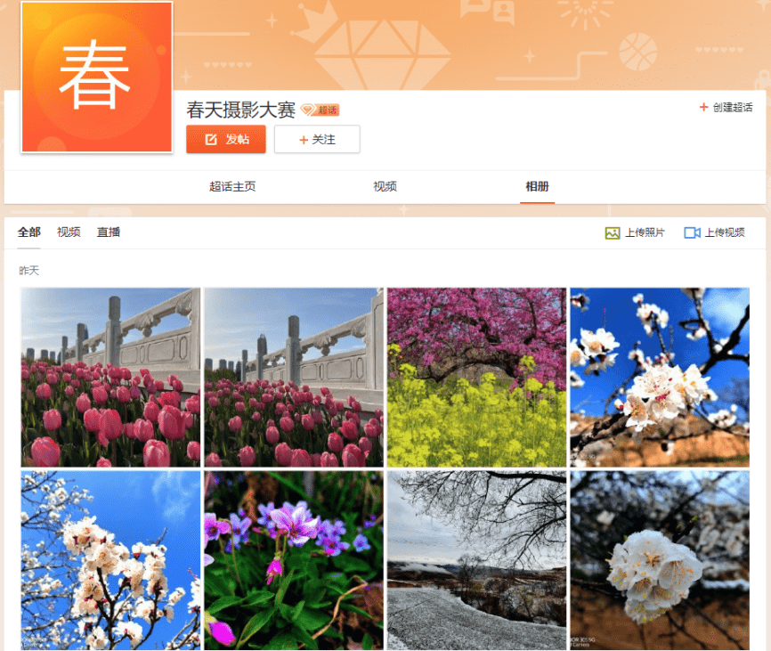 戴尔灵越|春日摄影 | 戴尔灵越16 Plus带你去“捉”一个春天