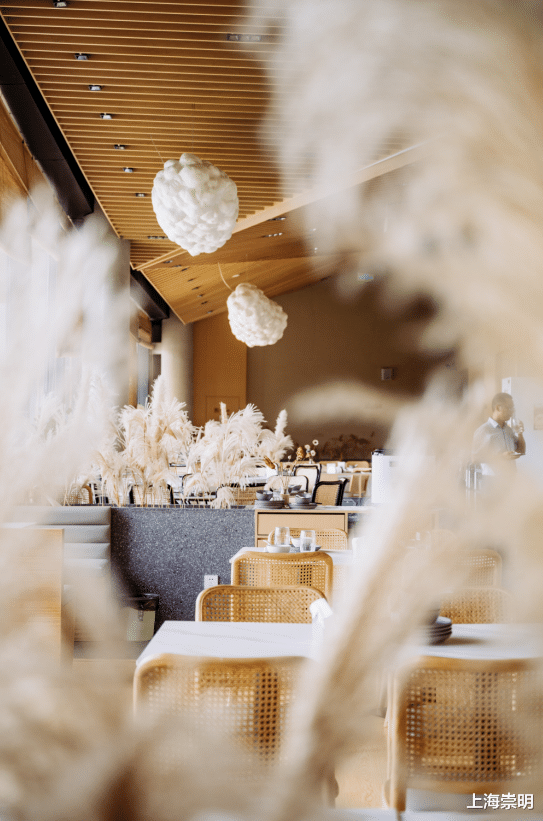 长沙|崇明这座公园,一天玩不够!