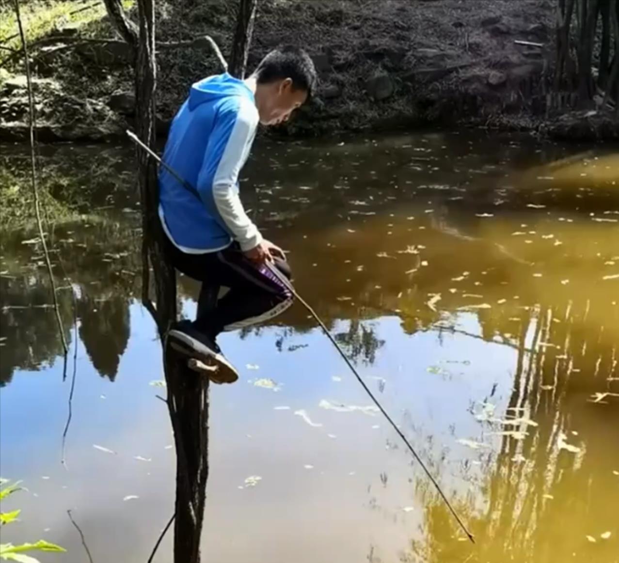 比邓刚还厉害的钓鱼,男子直接爬到水中的树上,结局出乎大家意料