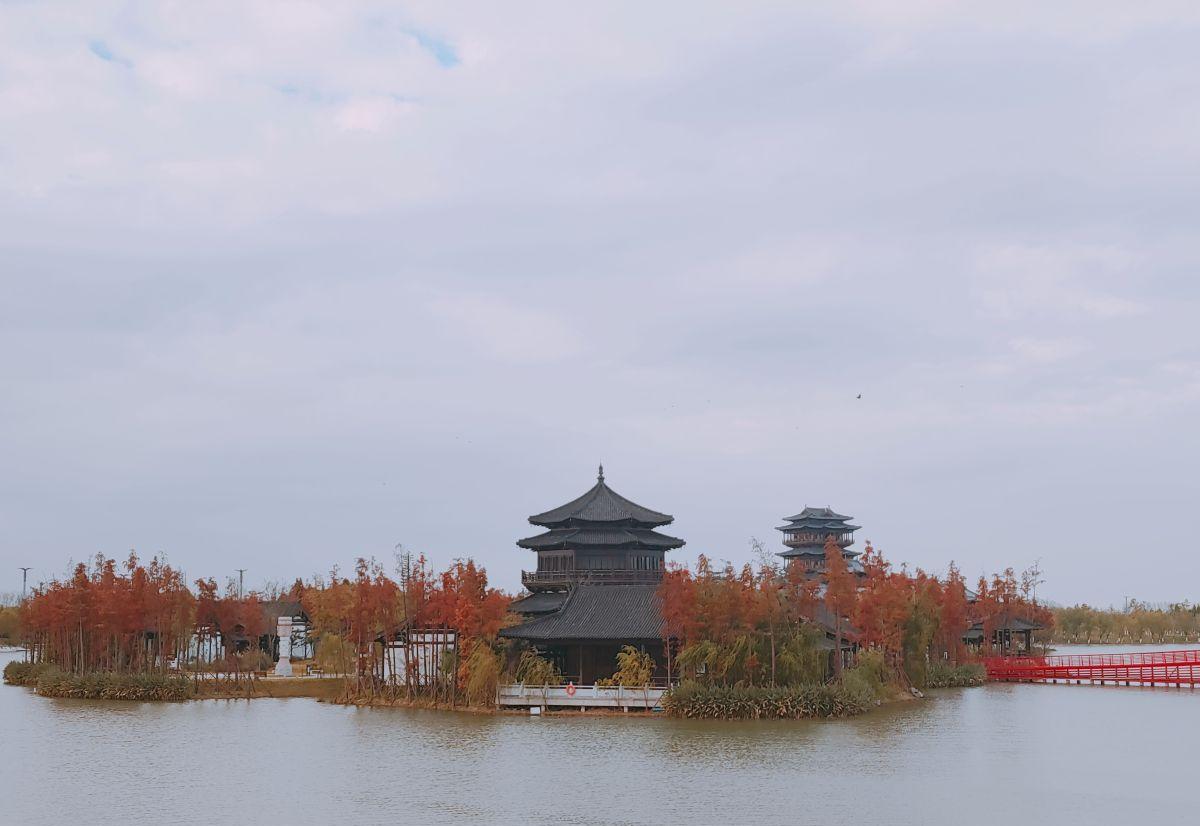 东营|我国连一座山都没有的两个城市，最高海拔不过10米，视线无所阻挡