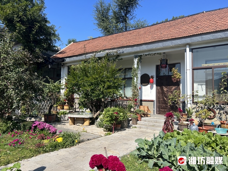 唐模|青州：文旅新业态造就“山海和田园”