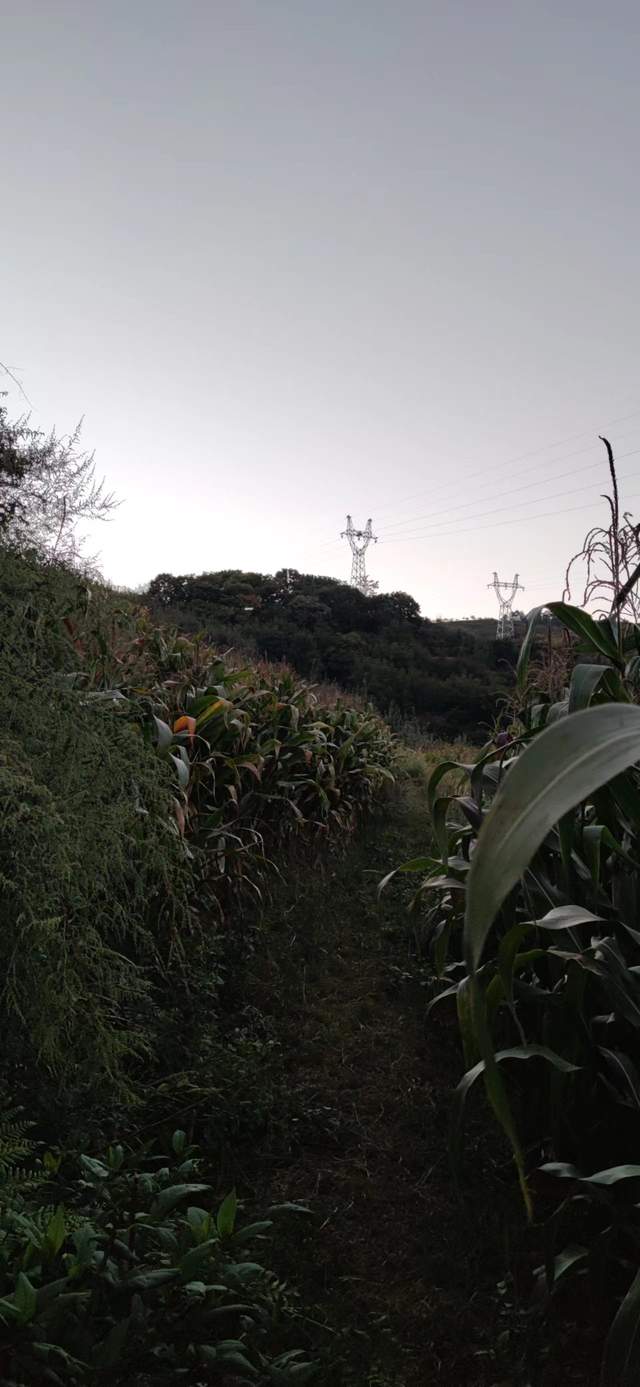 昭通|重走来时的路！云南昭通乐居镇周家口子村散步记