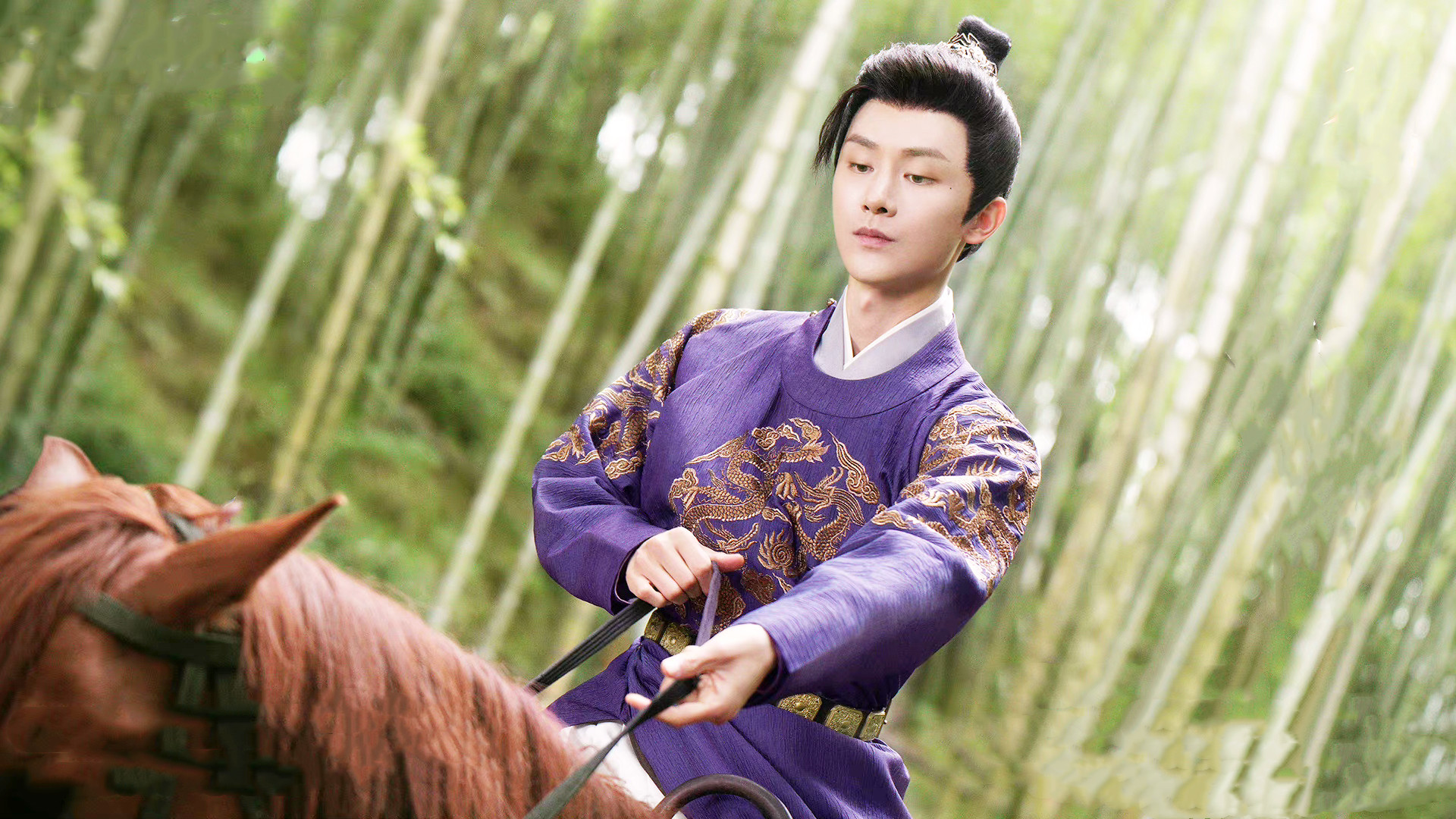 夫君请自重|《夫君请自重》：虐文变爽文？男主角一路开挂，先婚后爱甜度爆表