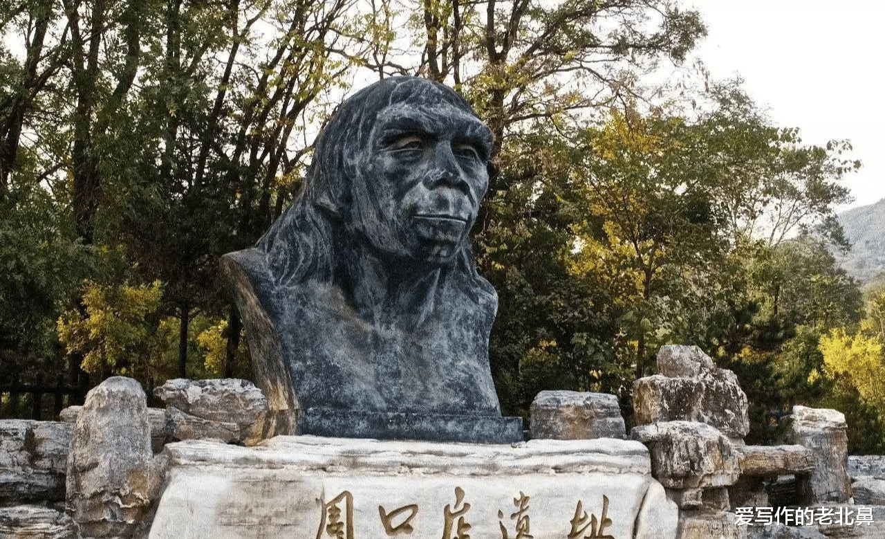 黑人的基因与白种人相近,还是黄种人的基因与白人接近?