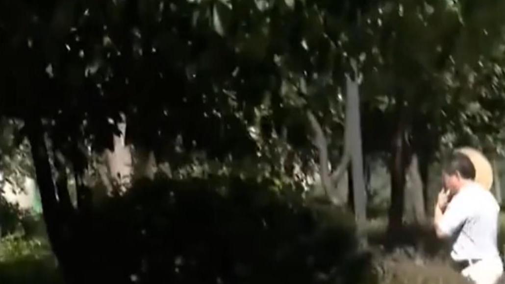 湖南女版\巨婴\：啃老24年不上班，94岁老母摔断腿仍为她洗衣做饭