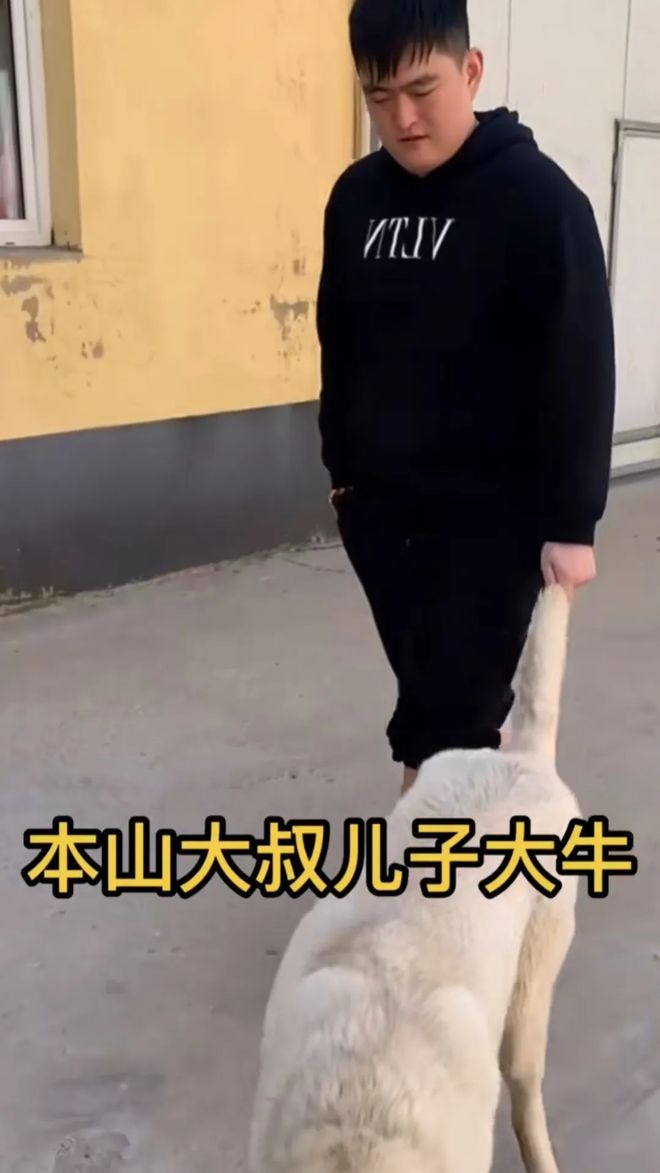 赵本山|赵本山儿子:在国外买了一只进口狗,耗资260万,光运费就要60万