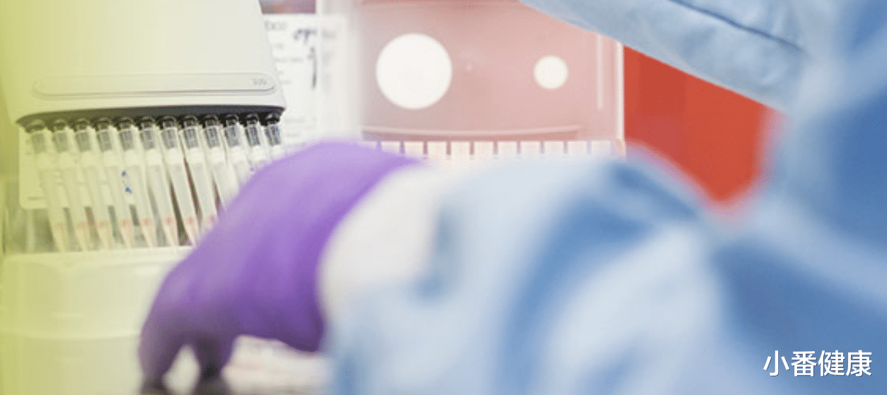 乙肝|乙肝在研新药Vebcorvir，1期及2a期研究中，评估DDI特征谱