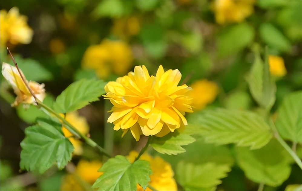 “你凭什么卖掉小叔的婚房”:拎不清的婆婆,成了“罪魁祸首”