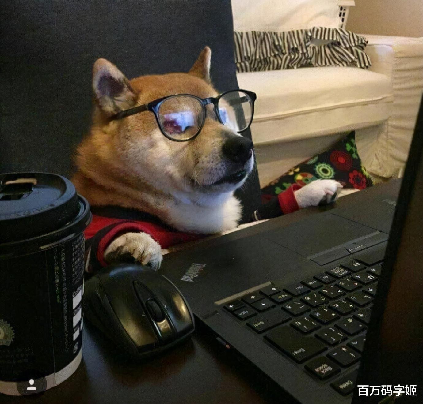 |为啥10年前的社会和网络，戾气没有现在这么重？答案残酷远超想象