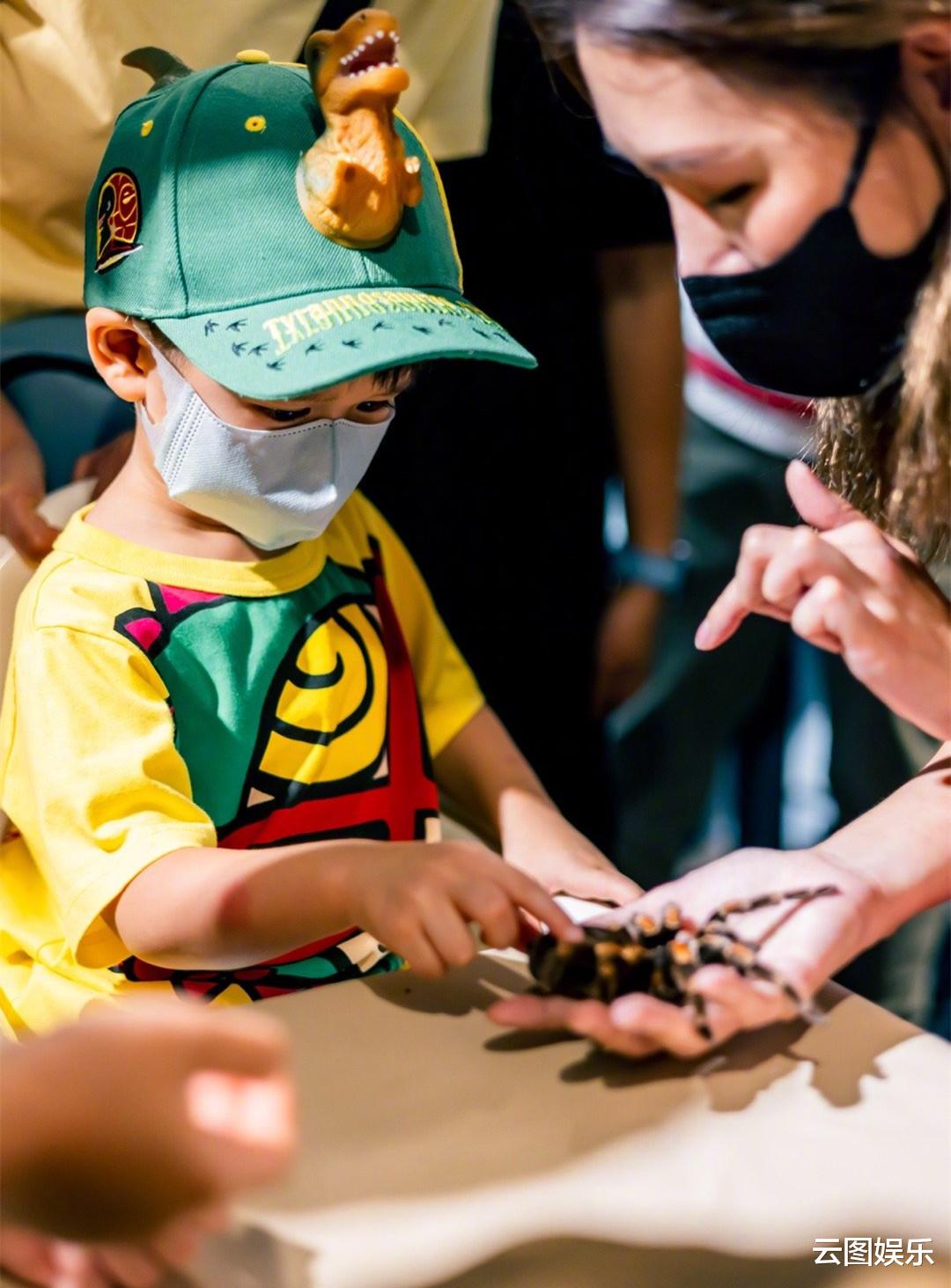 胡杏儿|胡杏儿3岁二儿子开派对庆生，把蛇挂脖子触摸蜘蛛蜥蜴，胆子太大