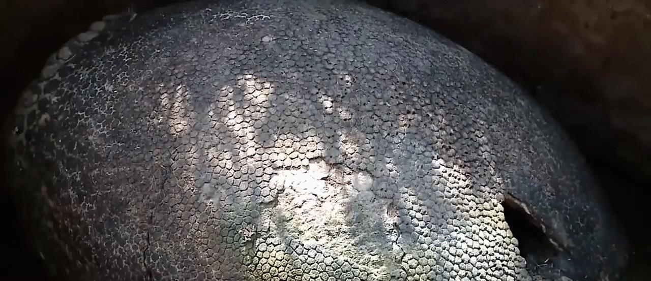 世界上5个最惊人的历史发现