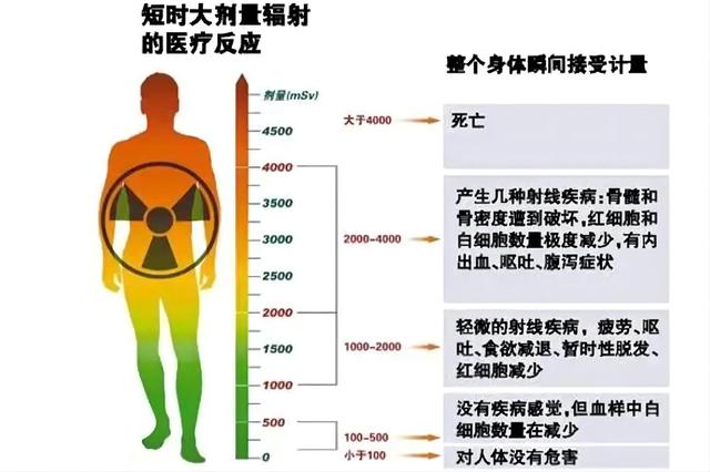 他把头伸进粒子加速器,被高能粒子爆头!没死