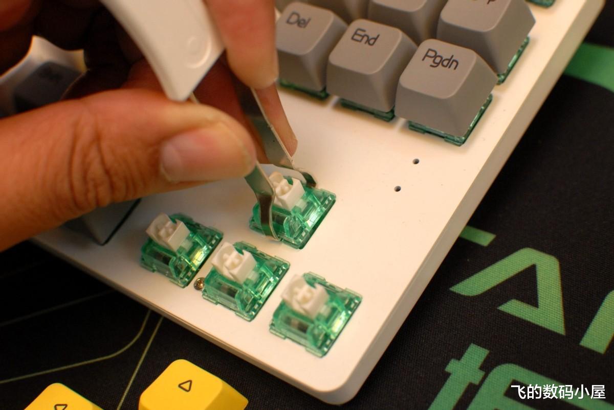 显卡|颜值小清新的客制化机械键盘，网友：爱了，爱了