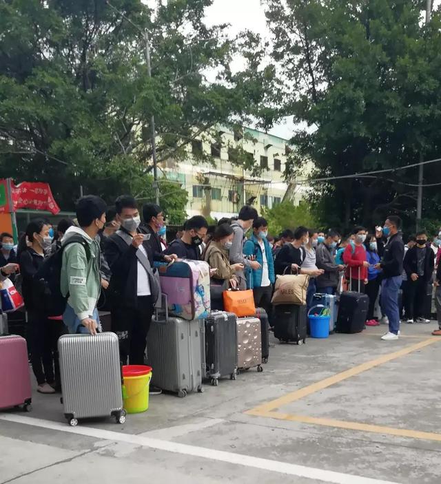 |职场年轻人结婚欲望下降，所谓“不合适”背后是年轻人的理性决策