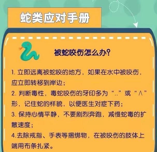 深圳市民夜跑发现两蛇斗舞,画面惊悚诡异,它们在干什么?