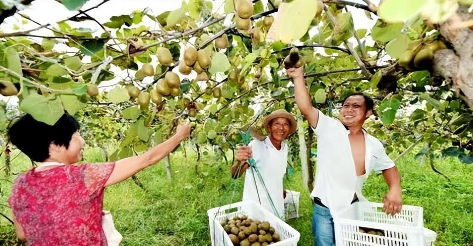 阿里巴巴|阿里不为人知的生意曝光，人民日报也点名了