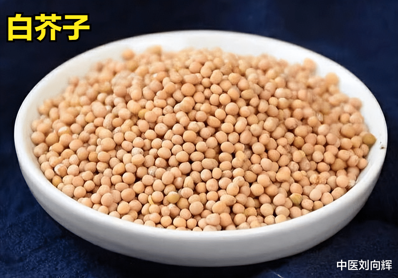 医生|几毛钱的萝卜籽是化痰能手,痰不多不要用