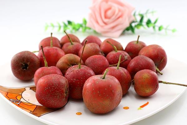 中药|血管越硬命越短!四种食物换着吃,软化血管,或能远离中风