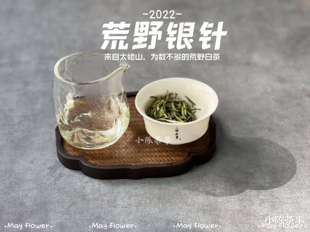 冬天宜喝老茶、熟茶、全发酵茶，但不能喝新白茶，是不是这样？