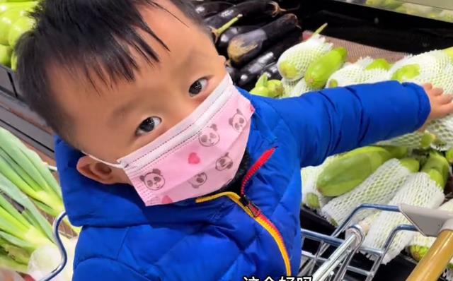 奇奇|奇奇逛超市买菜太机灵，田静直夸省心，网友调侃是“姚家暖男”