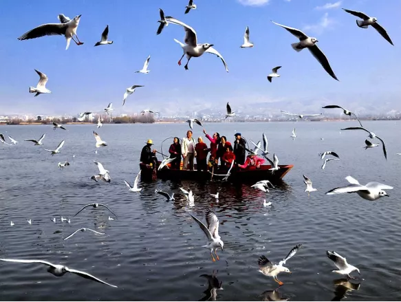 重庆|【春节特辑】春节最佳旅游线路出炉，赶快和家人们去打卡吧！