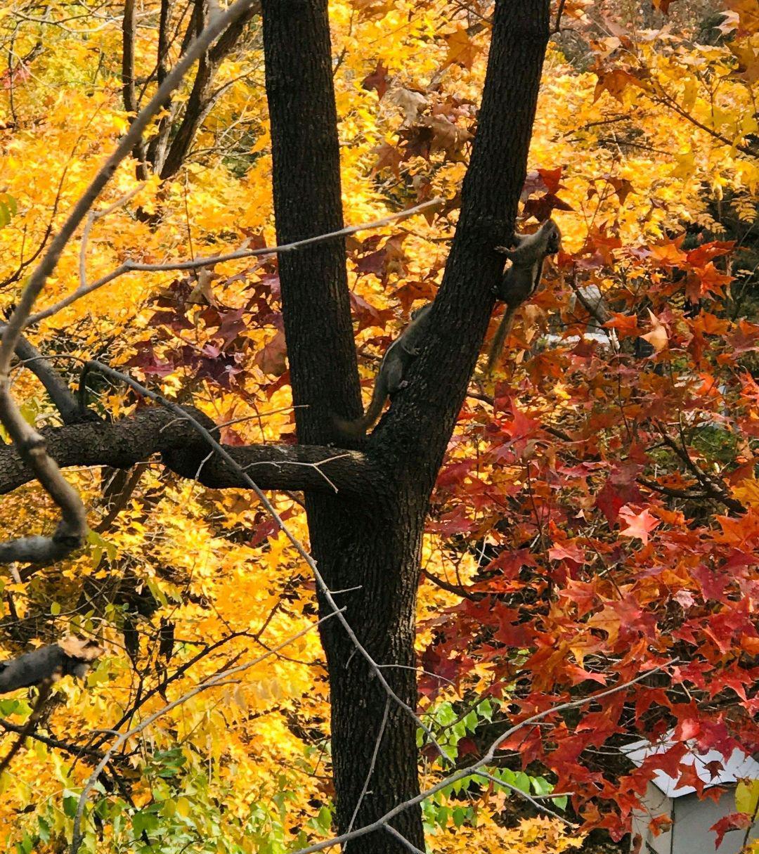 天津市|秋季去哪里玩最好呢?天津十大秋季旅游景点,天津秋色最美的地方