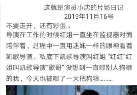 陈凯歌|“投胎能手”陈飞宇:陈凯歌力捧多年不火,所有运气都用在投胎上