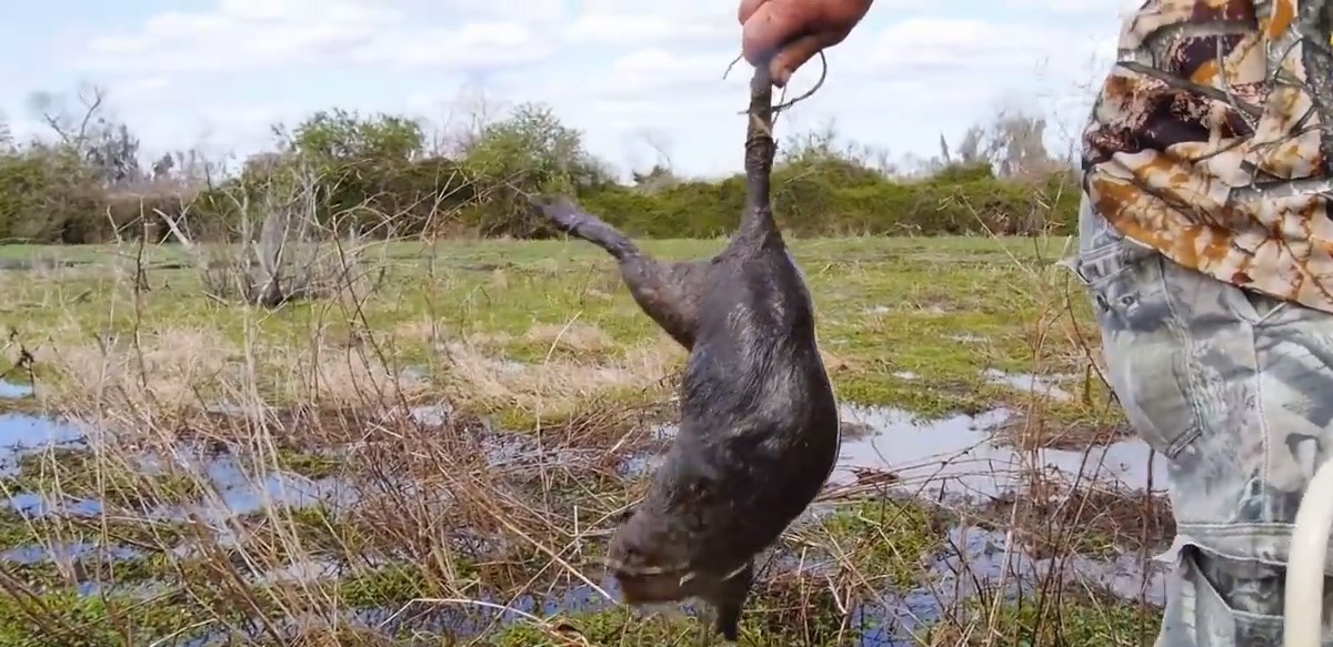 起重机|你不知道的世界上最奇葩的六种职业
