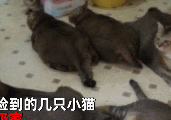 咱就是晚上少吃一顿饭不行吗？