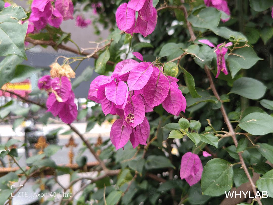 中兴|中兴 Axon 40 Ultra 体验：别再看背面，我的正面更吸睛